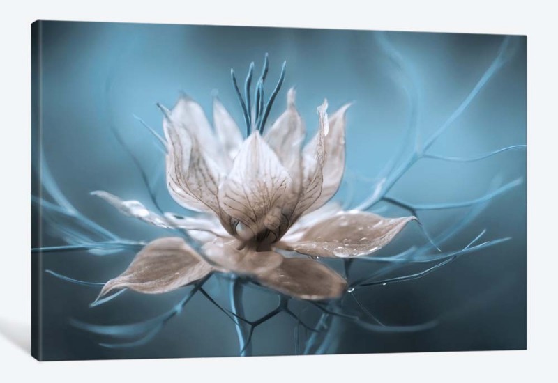 5D картина  «Мистический цветок» 