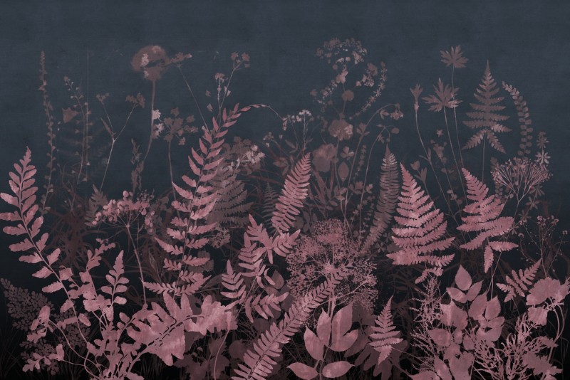 3D Фотообои 3D Фотообои «Гербарий полевых растений ночью»