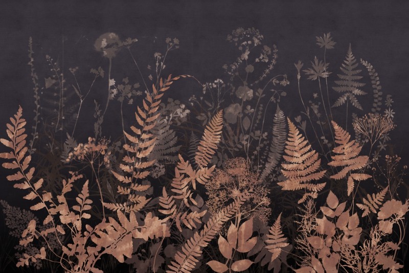 3D Фотообои 3D Фотообои «Полевые растения ночью в тёплых тонах»