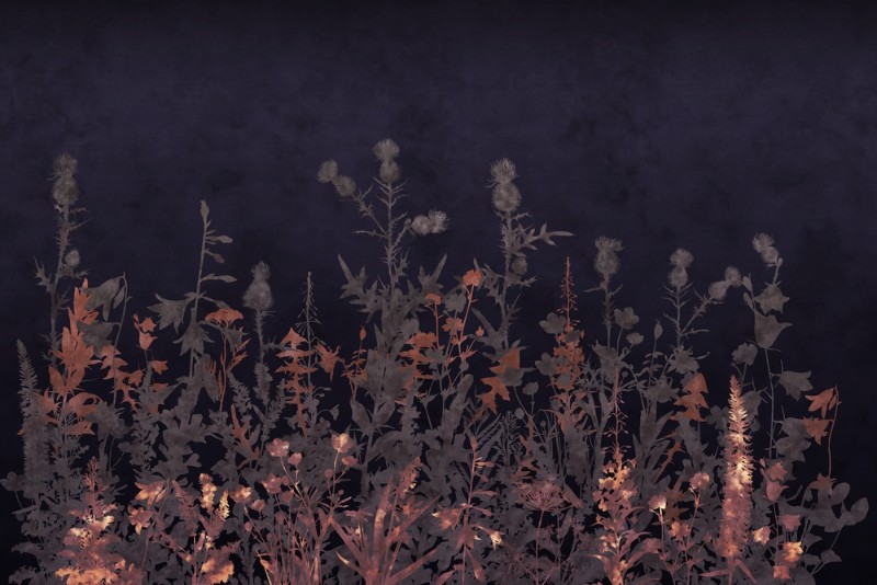 3D Фотообои 3D Фотообои «Полевые травы в тёплых тонах»
