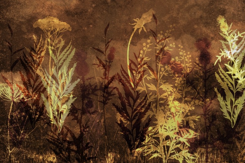 3D Фотообои 3D Фотообои «Травы в поле в тёплых тонах»