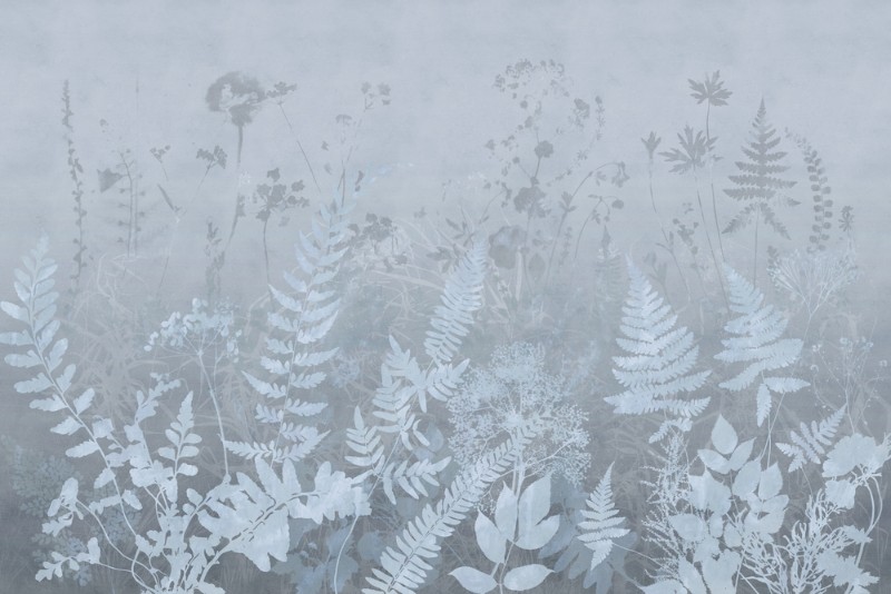 3D Фотообои 3D Фотообои «Светлый гербарий полевых растений в холодных тонах»