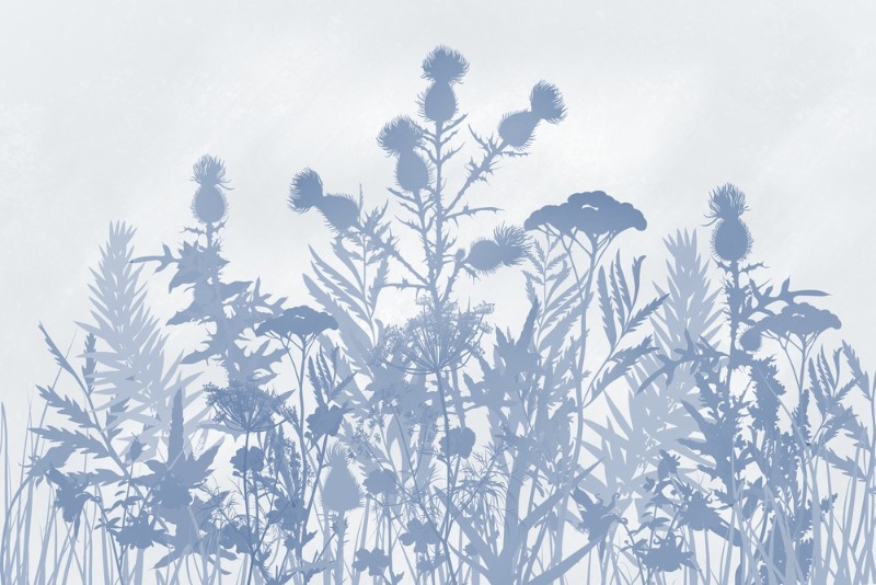 3D Фотообои 3D Фотообои «Светлые полевые растения в холодных тонах»