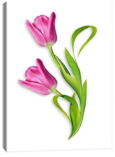 5D картина «Объемные тюльпаны. Арт 3»