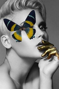 3D фотообои 5D картина «Нежная бабочка. Арт 1» вид 1