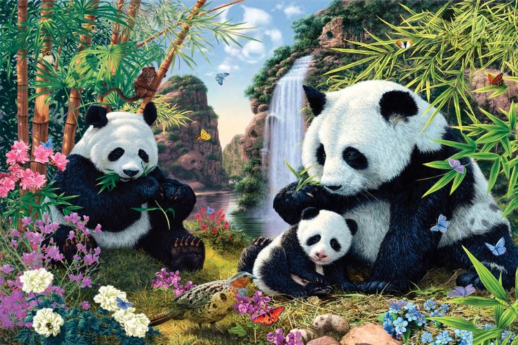 3D фотообои 5D картина «Семейство панд» вид 1