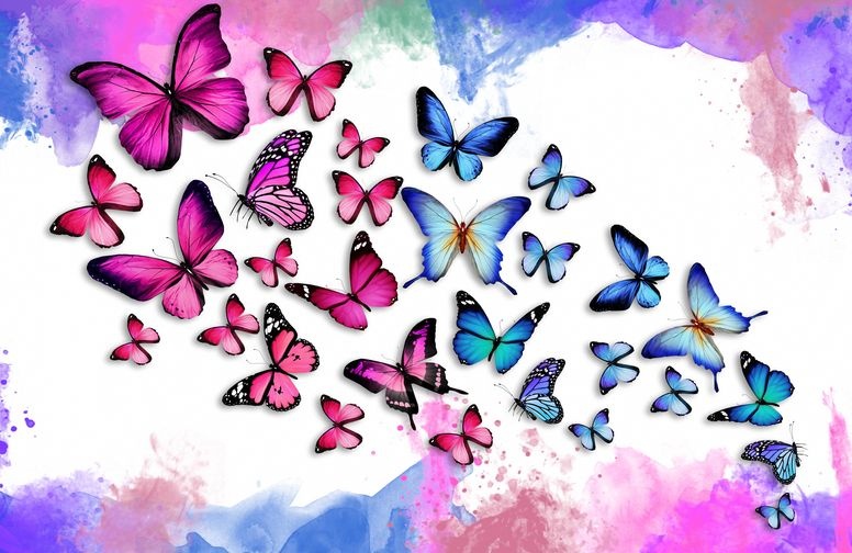 3D Ковер  «Красочные бабочки»