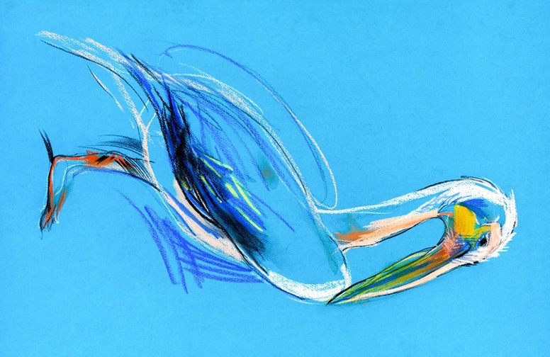 3D Ковер  «Голубой пеликан»