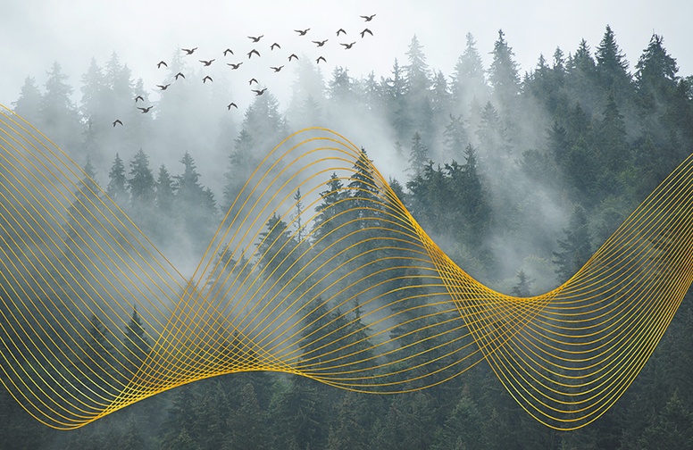 3D Ковер «Туман над лесом»