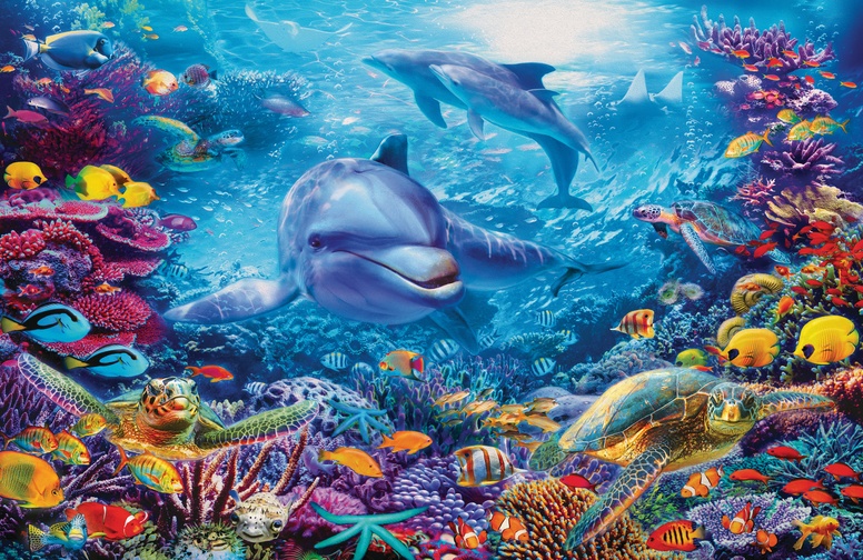 3D Ковер «Дельфины и подводные черепахи» 