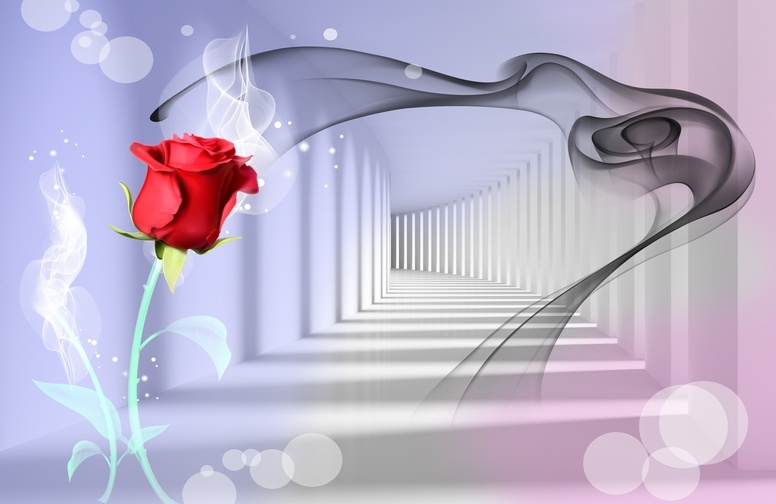 3D Ковер «Красная роза в тоннеле»  
