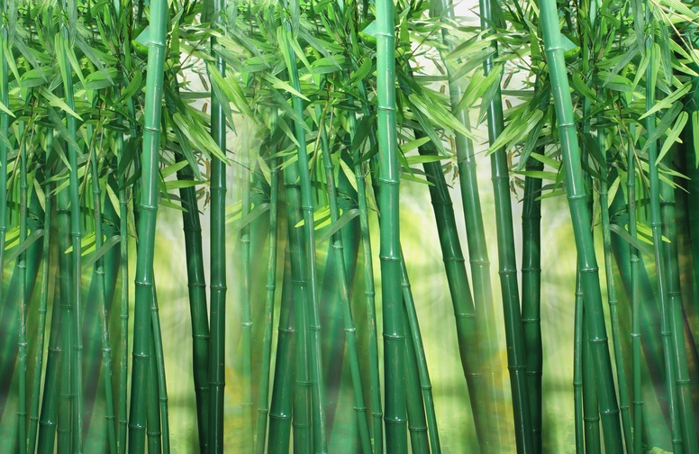 3D Ковер «Объемный бамбук»  