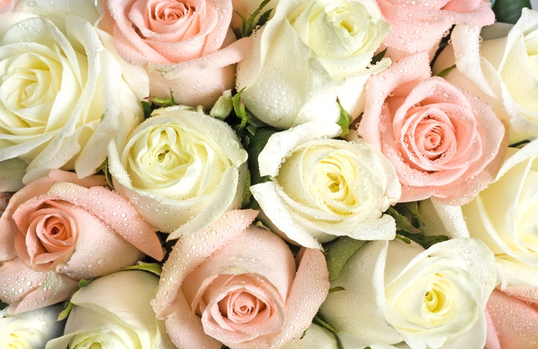 3D Ковер  «Салатово-розовые розы»