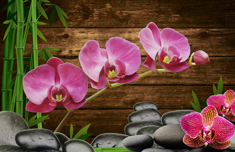 3D Ковер «Розовые орхидеи на камнях»