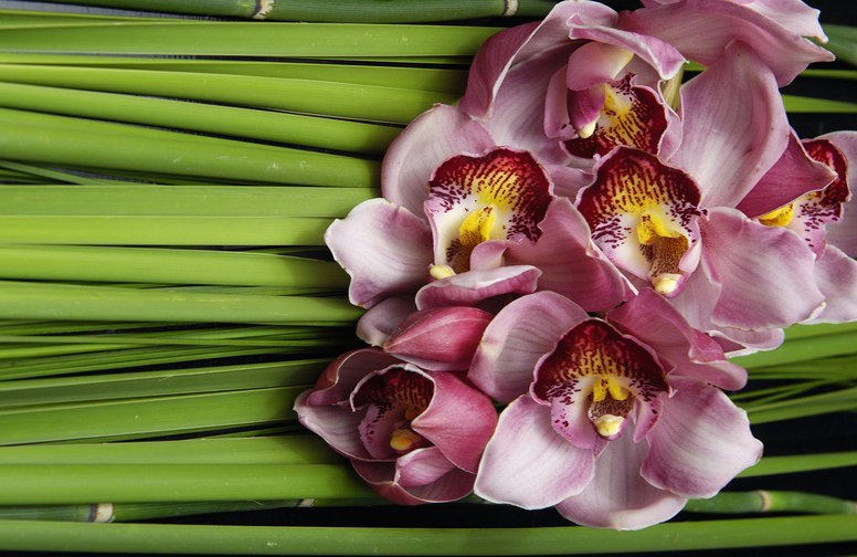 3D Ковер «Красивые орхидеи»