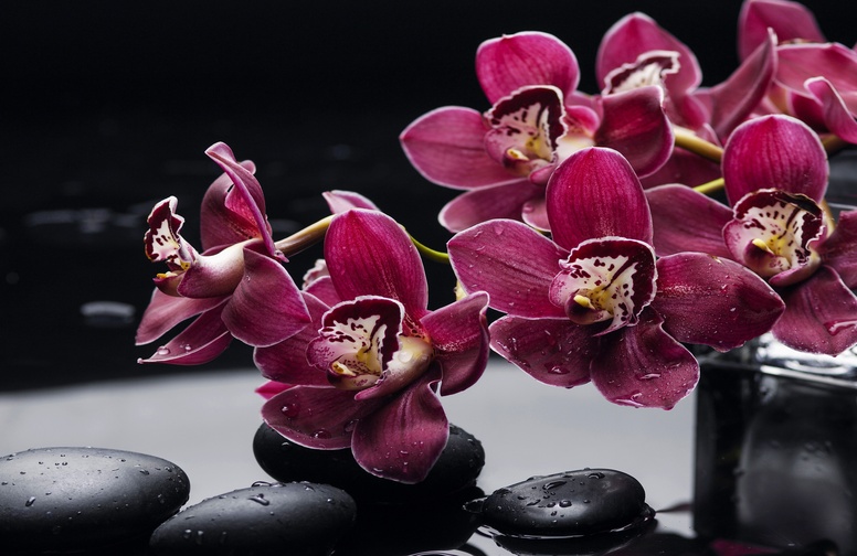 3D Ковер «Бордовые орхидеи»