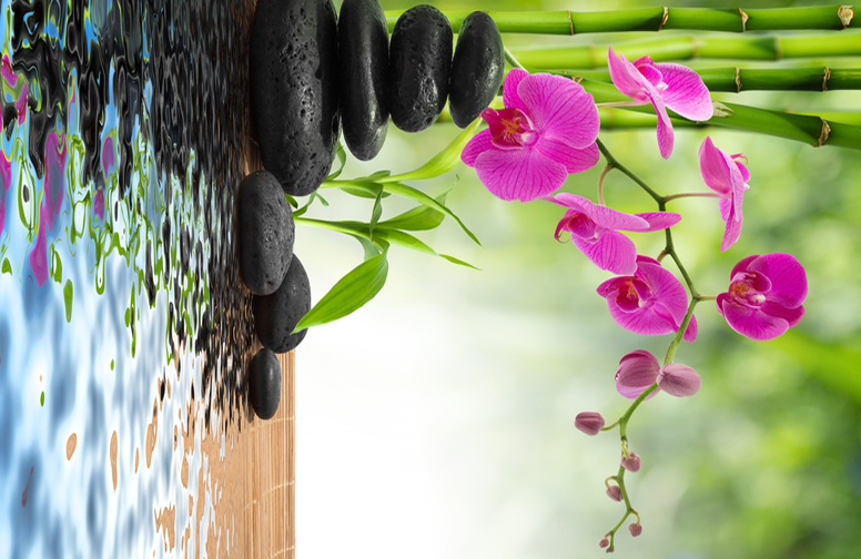 3D Ковер «Цветы орхидеи и черная галька»