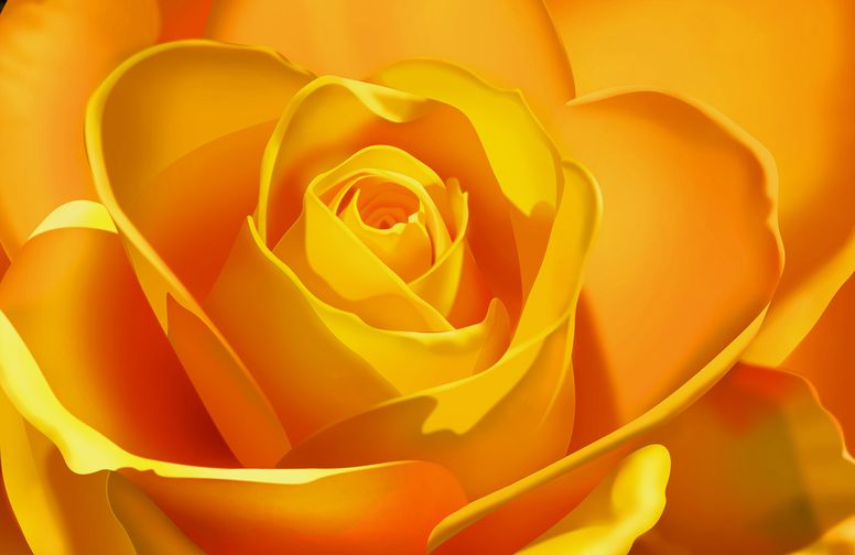 3D Ковер «Желтая роза»