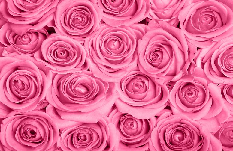 3D Ковер «Розы в розовых тонах»