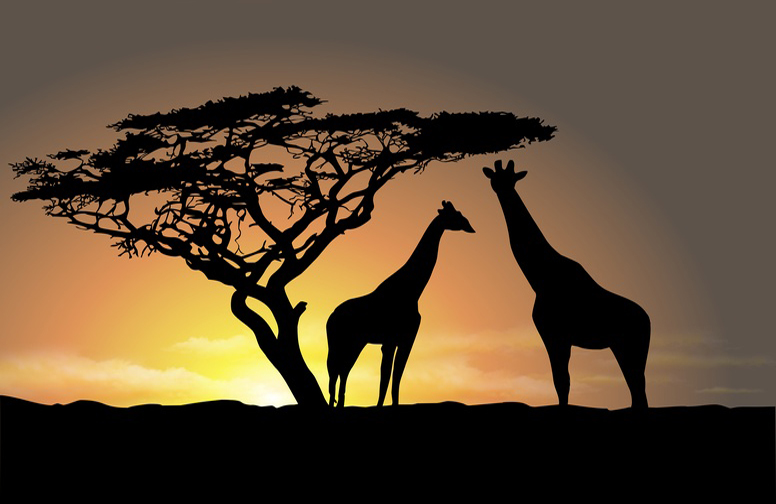 3D Ковер «Жирафы на закате»