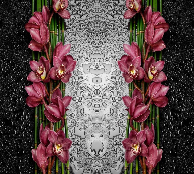 3D Фотообои Фотошторы «Орхидеи в росе»