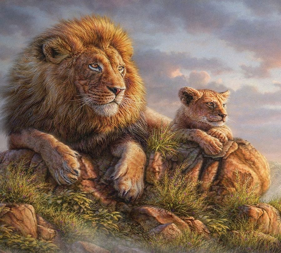 3D Фотообои Фотошторы «Величественные львы»