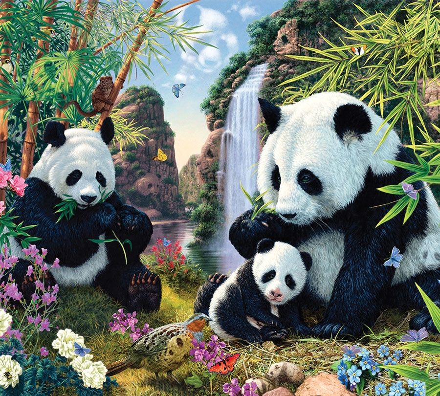 3D Фотообои Фотошторы «Семейство панд»