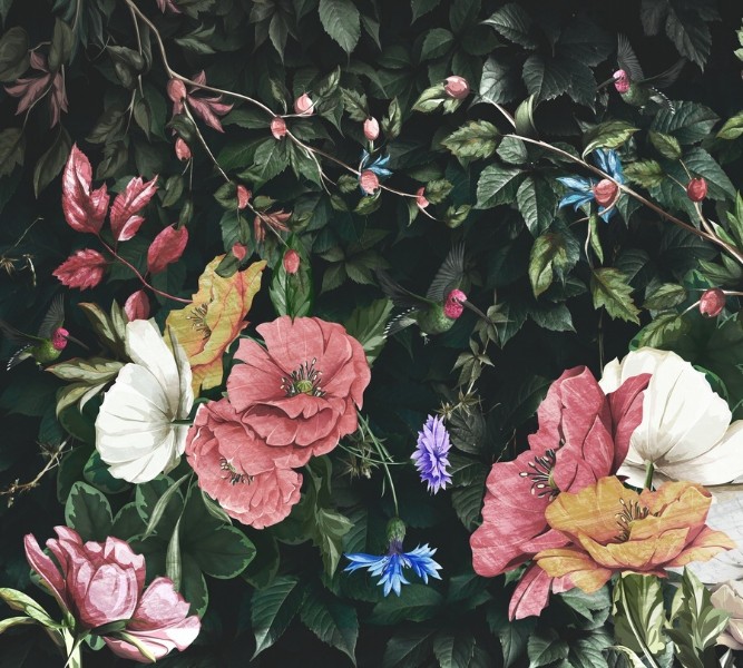 3D Фотообои Фотошторы «Колибри в цветущем саду»