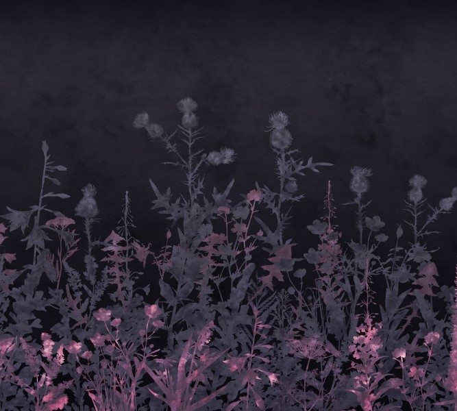 3D Фотообои Фотошторы «Полевые травы в холодных тонах»