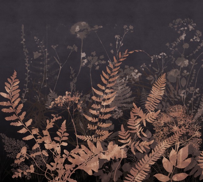 3D Фотообои Фотошторы «Полевые растения ночью в тёплых тонах»