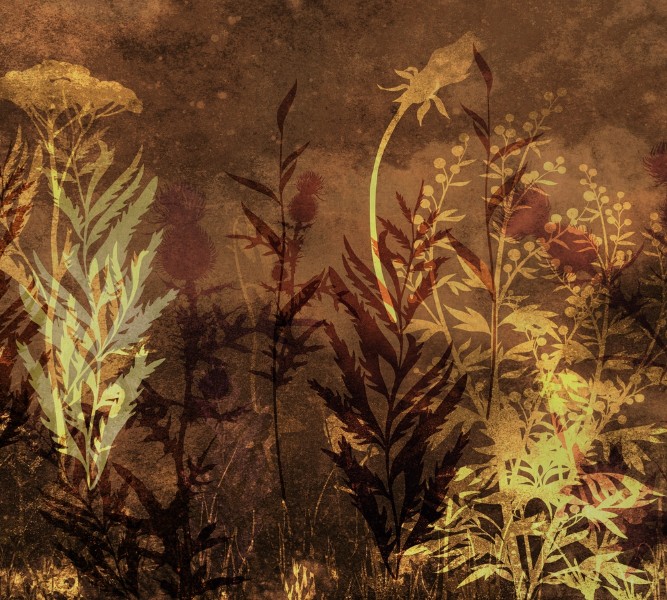 3D Фотообои Фотошторы «Травы в поле в тёплых тонах»