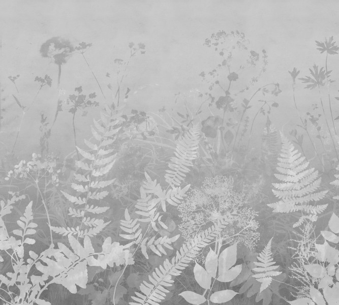 3D Фотообои Фотошторы «Светлые полевые растения в холодных тонах»