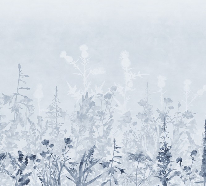 3D Фотообои Фотошторы «Светлые полевые травы в холодных тонах»