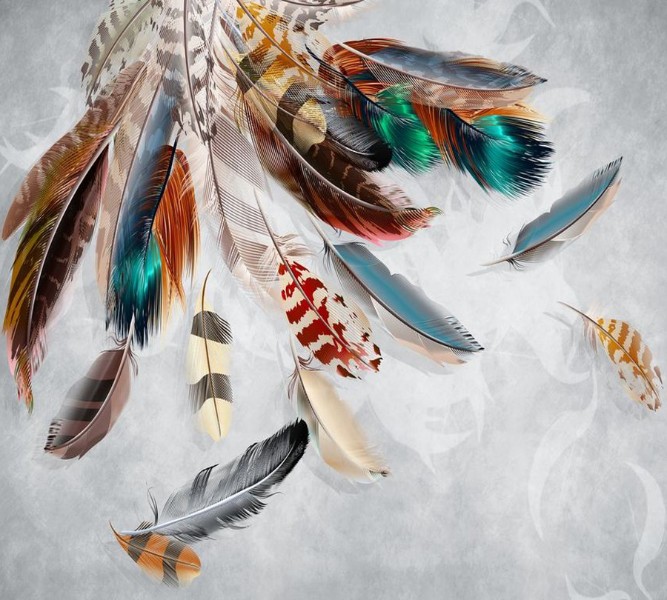 3D Фотообои Фотошторы «Веер из ярких перьев»