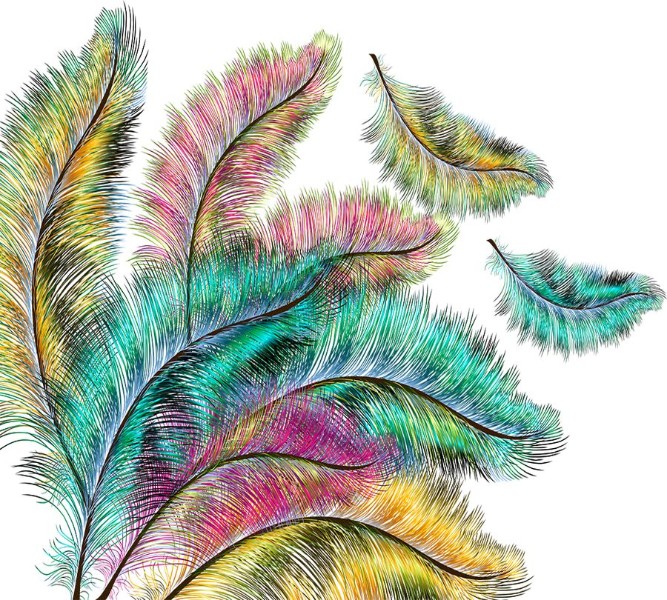 3D Фотообои Фотошторы «Радужные перья»