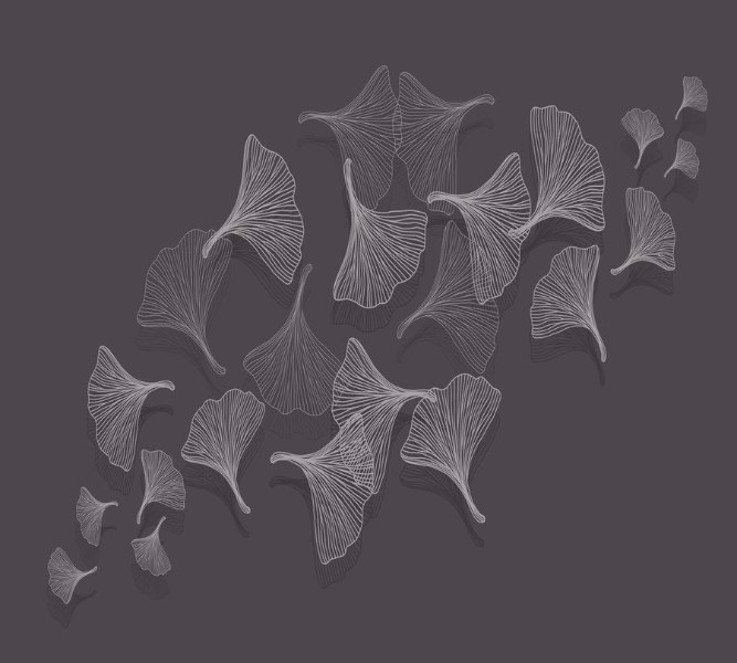3D Фотообои Фотошторы «Летящие зонтики на антрацитовом фоне»