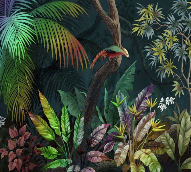 3D Фотообои  Фотошторы «Птица в ярких тропиках »