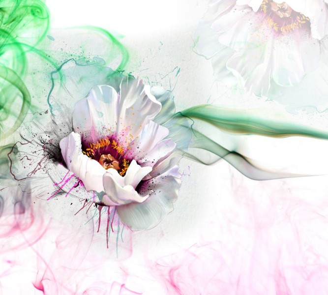3D Фотообои Фотошторы «Красочный цветок»