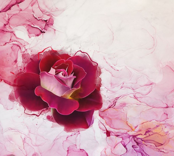 3D Фотообои Фотошторы «Бархатная роза на мраморе»