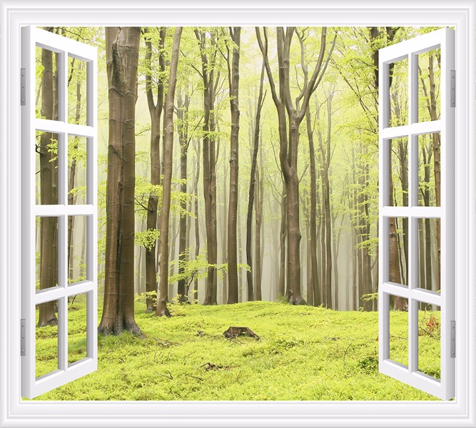 3D Фотообои Фотошторы «Окно с видом на зеленый лес»