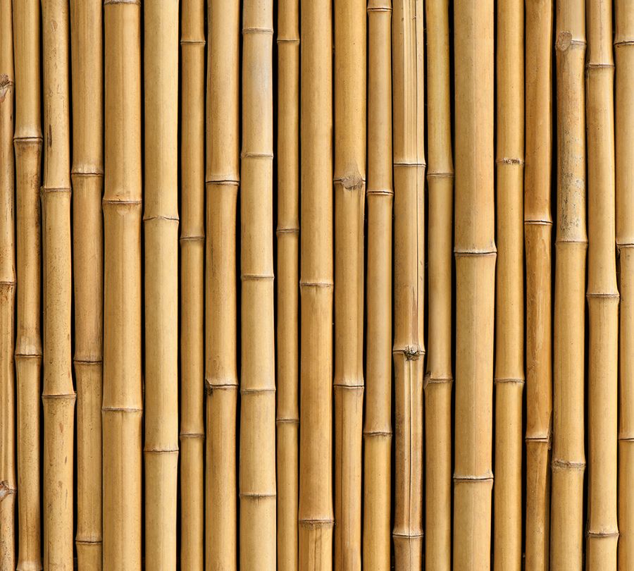 3D фотообои Фотошторы «Бамбуковая стена» вид 1