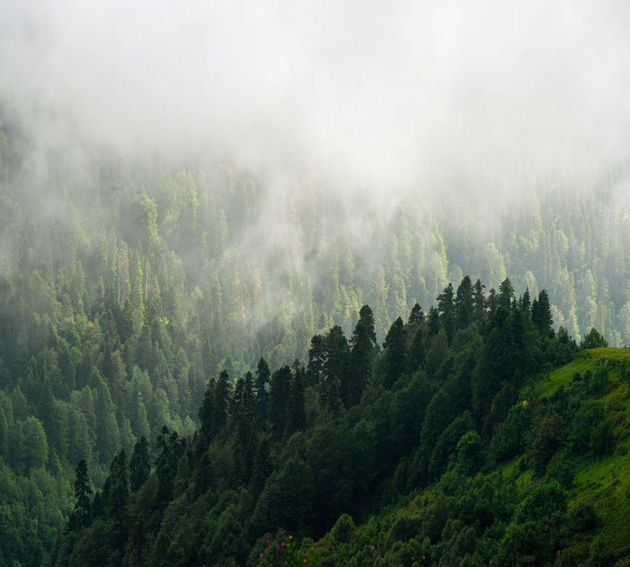 3D Фотообои Фотошторы «Туман над зелеными вершинами»