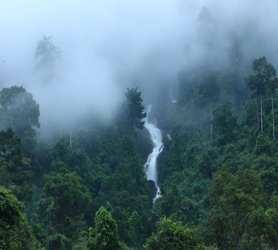 3D Фотообои Фотошторы «Водопад в туманном лесу»