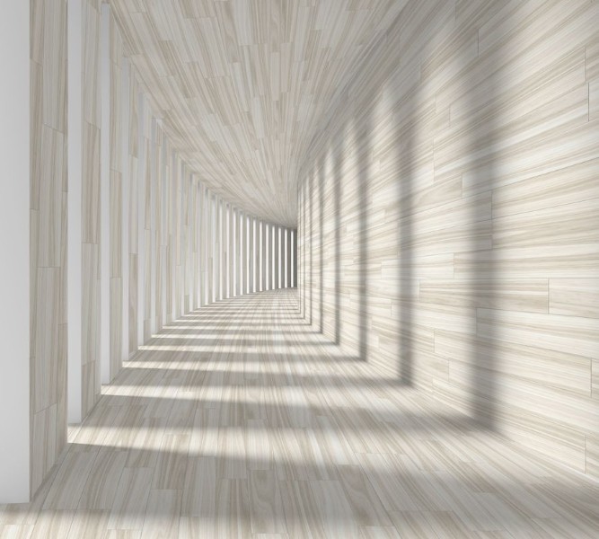 3D Фотообои Фотошторы «Белый тоннель»