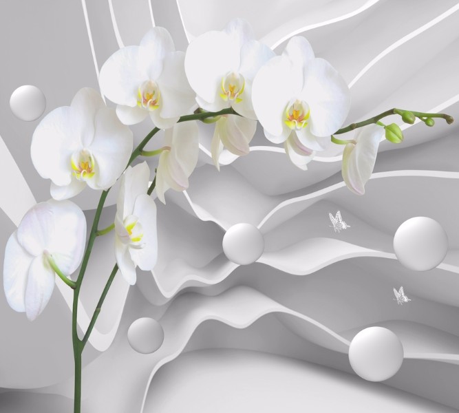 3D Фотообои Фотошторы «Белая орхидея на объемном фоне»