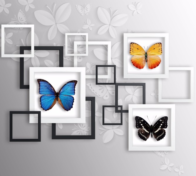 3D Фотообои Фотошторы «Коллекция бабочек»