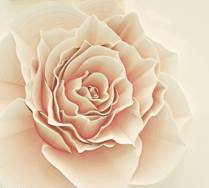 3D Фотообои Фотошторы «Изысканная роза»