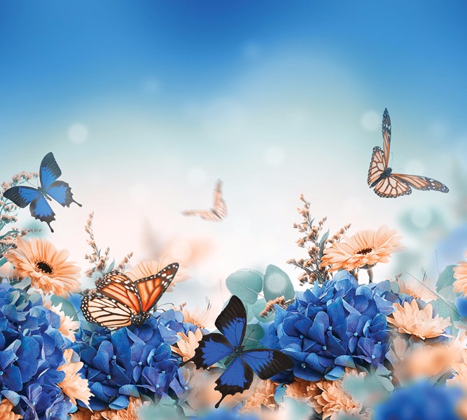 3D Фотообои Фотошторы «Синие бабочки»
