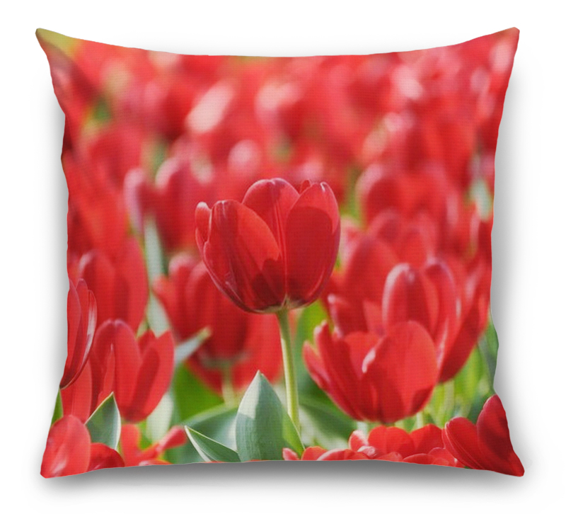 3D фотообои 3D Подушка «Красные тюльпаны»  вид 1
