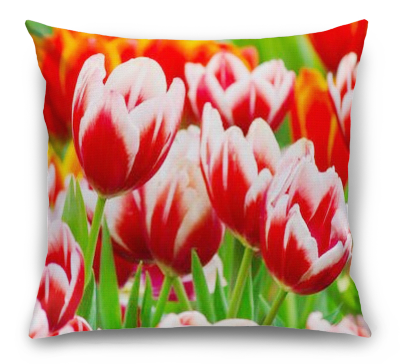 3D Подушка «Красивые тюльпаны» вид 1